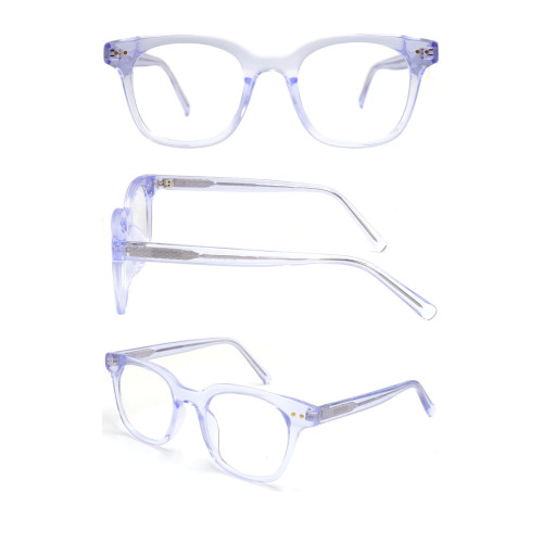 Wholesale 2024 New Adult Acetate Injection Optical Frame With Metal Spring Hinge Transparent Color Series