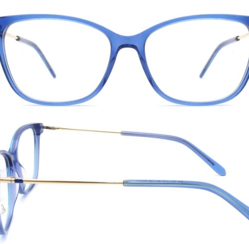 Thin Metal Temple Tortoise Ultralight Adult Acetate Optical Frame for Unisex