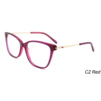 Thin Metal Temple Tortoise Ultralight Adult Acetate Optical Frame for Unisex