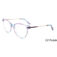 Acetate Metal Spring Hinge Ultralight Adult Optical Frame