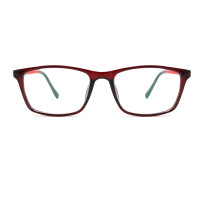 New arrival PC Optical Frame with cp temple tip